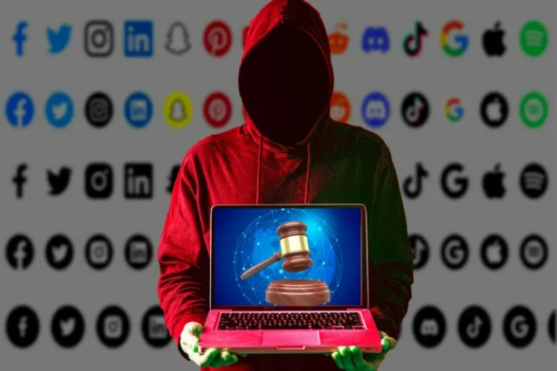 The Brazen Power of Netizens – Fear of the Internet-Court