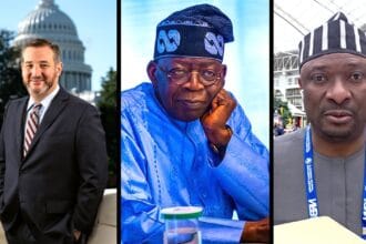 Ted Cruz Nigeria Bill - What S.2747 Means for Nigerian Officials