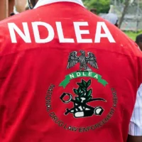 Delta River Tragedy: NDLEA Officer Drowns Chasing Weed Suspect