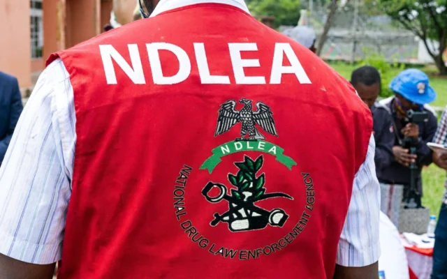 Delta River Tragedy: NDLEA Officer Drowns Chasing Weed Suspect