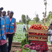 Kenya’s Ruto Orders Foreign Traders Out Of Small Business By Sept 7