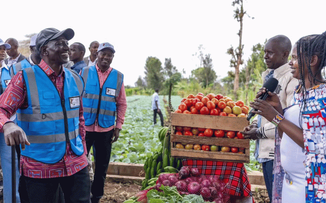 Kenya’s Ruto Orders Foreign Traders Out Of Small Business By Sept 7