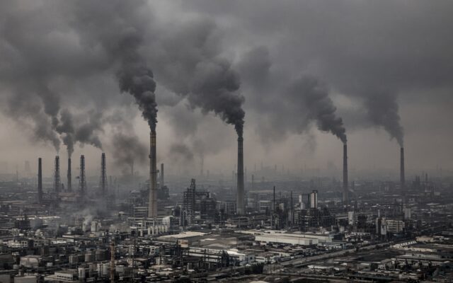 Study Links Bacterial Strain Type To Air Pollution Health Risk