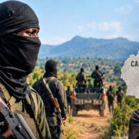 Kidnappings Surge In Cameroon’s Far North Region